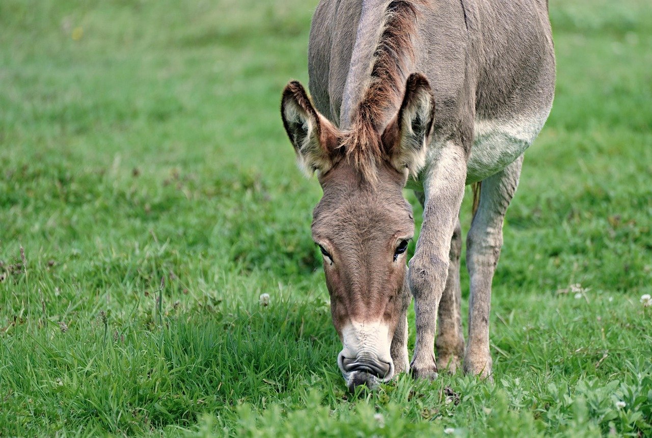 Boating safety and tips – Image 2