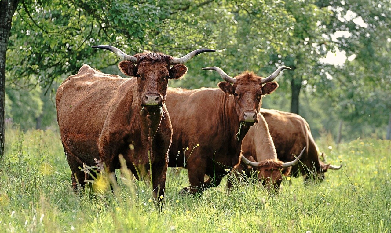 Boating safety and tips – Image 1